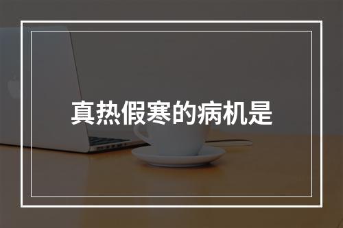 真热假寒的病机是