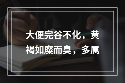 大便完谷不化，黄褐如糜而臭，多属