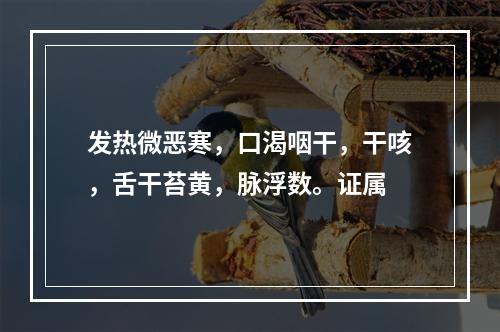 发热微恶寒，口渴咽干，干咳，舌干苔黄，脉浮数。证属