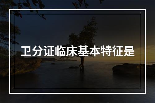 卫分证临床基本特征是