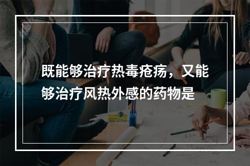 既能够治疗热毒疮疡，又能够治疗风热外感的药物是