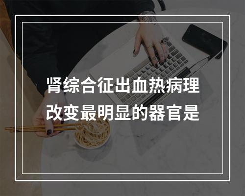 肾综合征出血热病理改变最明显的器官是