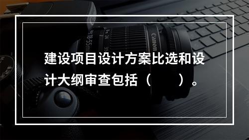 建设项目设计方案比选和设计大纲审查包括（　　）。