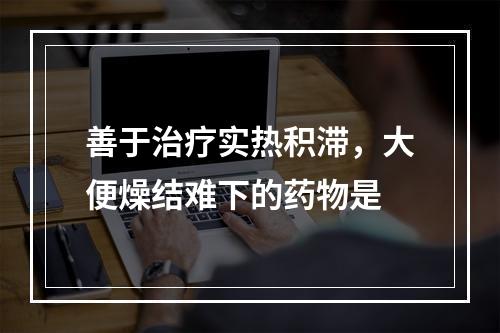 善于治疗实热积滞，大便燥结难下的药物是