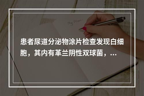 患者尿道分泌物涂片检查发现白细胞，其内有革兰阴性双球菌，该患