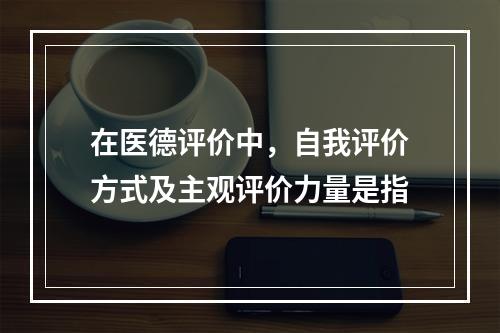 在医德评价中，自我评价方式及主观评价力量是指