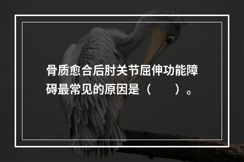 骨质愈合后肘关节屈伸功能障碍最常见的原因是（　　）。