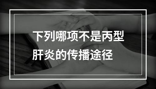 下列哪项不是丙型肝炎的传播途径