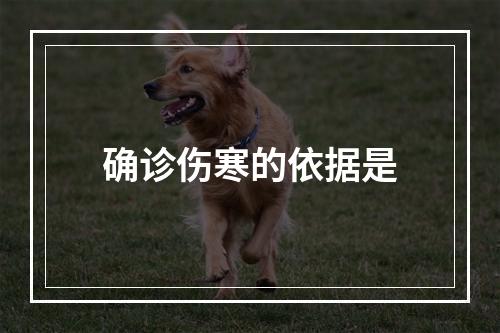 确诊伤寒的依据是