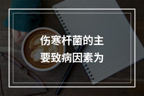 伤寒杆菌的主要致病因素为