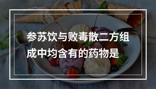 参苏饮与败毒散二方组成中均含有的药物是