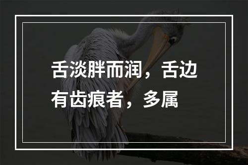 舌淡胖而润，舌边有齿痕者，多属