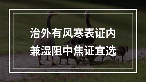 治外有风寒表证内兼湿阻中焦证宜选