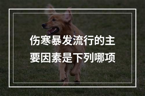 伤寒暴发流行的主要因素是下列哪项