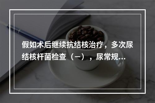 假如术后继续抗结核治疗，多次尿结核杆菌检查（－），尿常规：W