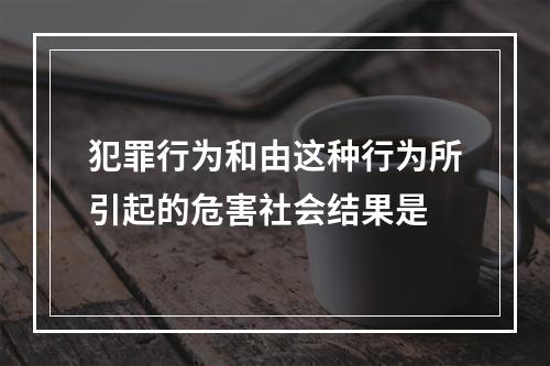 犯罪行为和由这种行为所引起的危害社会结果是