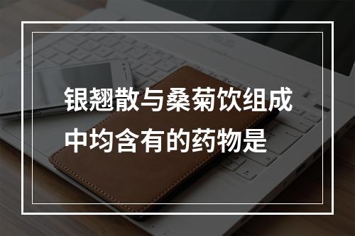 银翘散与桑菊饮组成中均含有的药物是