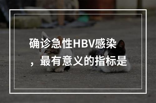 确诊急性HBV感染，最有意义的指标是