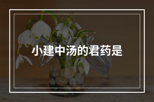 小建中汤的君药是