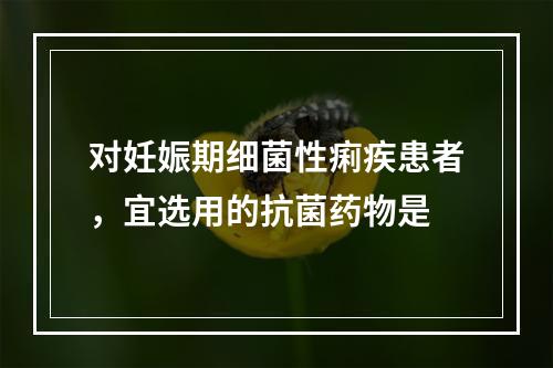 对妊娠期细菌性痢疾患者，宜选用的抗菌药物是