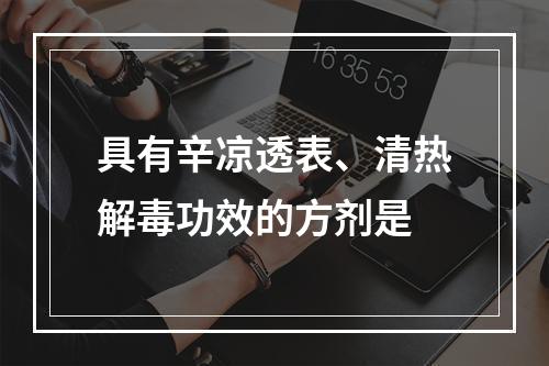 具有辛凉透表、清热解毒功效的方剂是