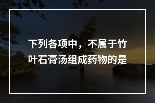 下列各项中，不属于竹叶石膏汤组成药物的是