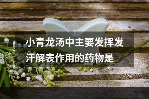 小青龙汤中主要发挥发汗解表作用的药物是