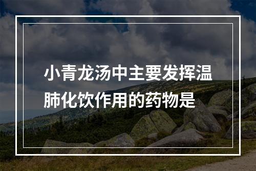 小青龙汤中主要发挥温肺化饮作用的药物是