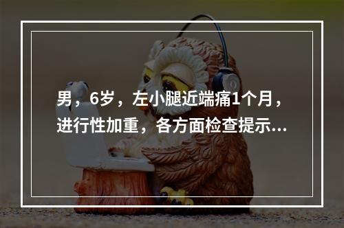 男，6岁，左小腿近端痛1个月，进行性加重，各方面检查提示左胫