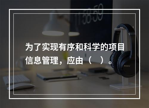 为了实现有序和科学的项目信息管理，应由（　）。