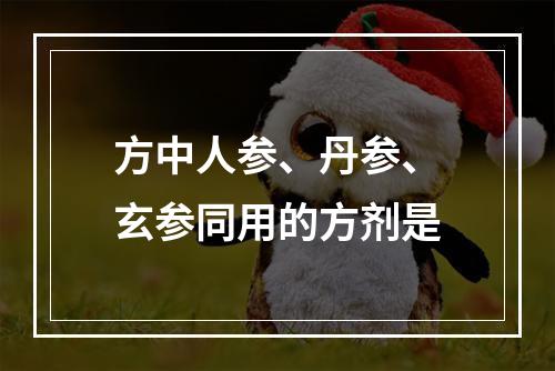 方中人参、丹参、玄参同用的方剂是