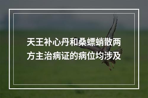 天王补心丹和桑螵蛸散两方主治病证的病位均涉及