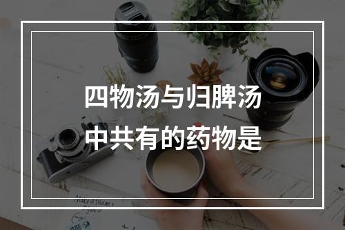 四物汤与归脾汤中共有的药物是