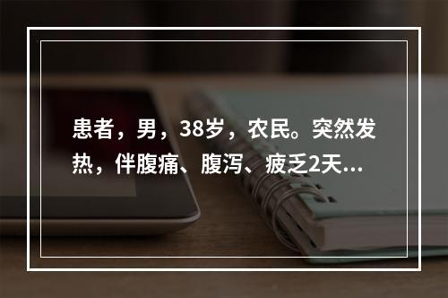 患者，男，38岁，农民。突然发热，伴腹痛、腹泻、疲乏2天，每