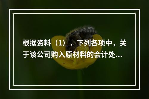 根据资料（1），下列各项中，关于该公司购入原材料的会计处理结