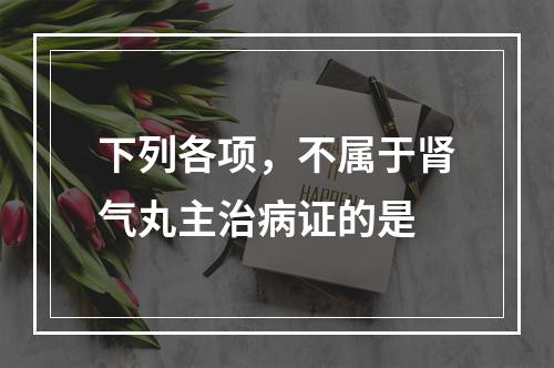 下列各项，不属于肾气丸主治病证的是