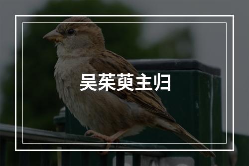 吴茱萸主归