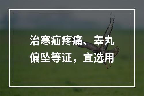 治寒疝疼痛、睾丸偏坠等证，宜选用