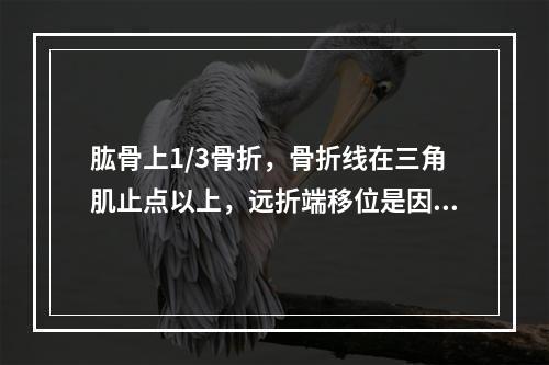 肱骨上1/3骨折，骨折线在三角肌止点以上，远折端移位是因为（