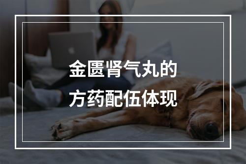 金匮肾气丸的方药配伍体现