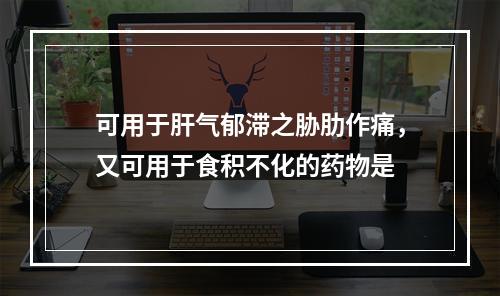 可用于肝气郁滞之胁肋作痛，又可用于食积不化的药物是