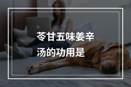 苓甘五味姜辛汤的功用是