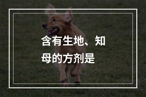 含有生地、知母的方剂是