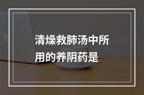 清燥救肺汤中所用的养阴药是