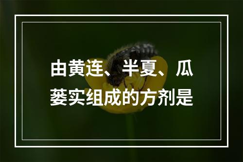 由黄连、半夏、瓜蒌实组成的方剂是