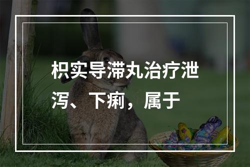 枳实导滞丸治疗泄泻、下痢，属于