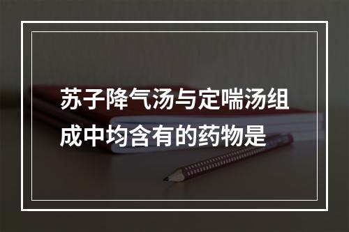 苏子降气汤与定喘汤组成中均含有的药物是