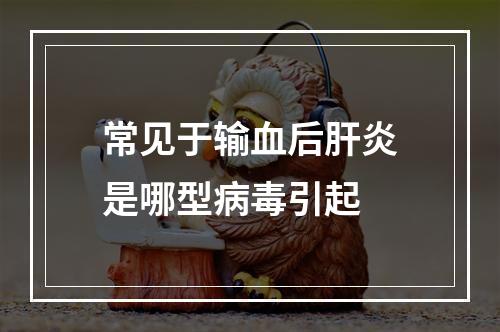 常见于输血后肝炎是哪型病毒引起