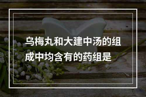 乌梅丸和大建中汤的组成中均含有的药组是