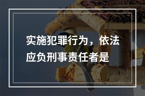 实施犯罪行为，依法应负刑事责任者是